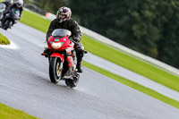 PJ-Motorsport-Photography-2020;anglesey;brands-hatch;cadwell-park;croft;donington-park;enduro-digital-images;event-digital-images;eventdigitalimages;mallory;no-limits;oulton-park;peter-wileman-photography;racing-digital-images;silverstone;snetterton;trackday-digital-images;trackday-photos;vmcc-banbury-run;welsh-2-day-enduro